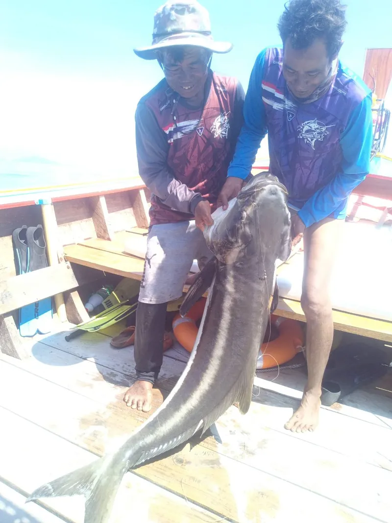 Two boatmen lifting a large fish onto the deck