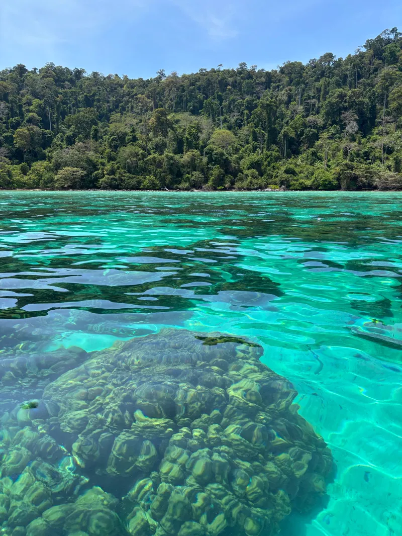 Koh Rok and Koh Haa snorkelling trip from Koh Lanta (8 of 10)